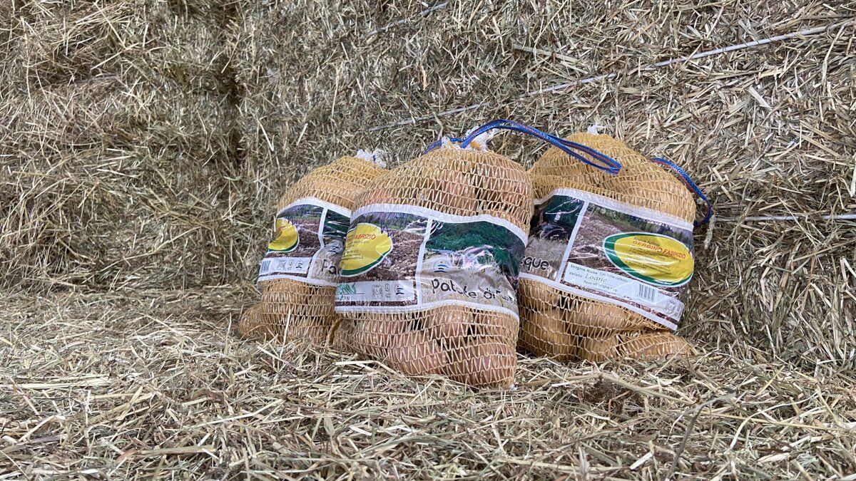 Fotografia: le patate di Entracque di Gerbino Fabrizio. Fine descrizione.